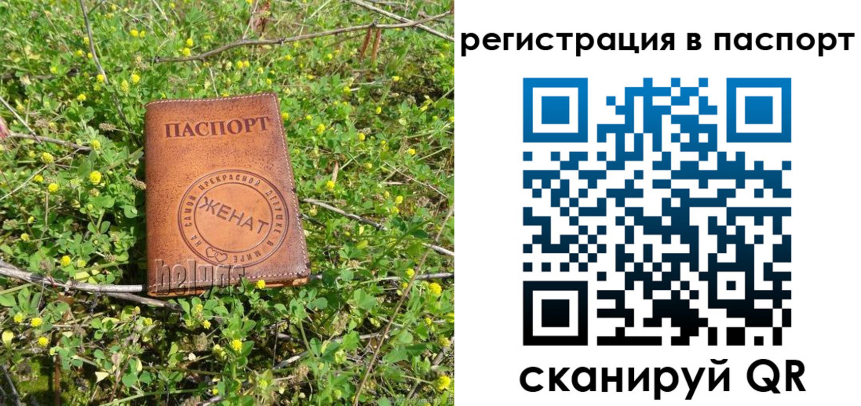 прописка законно в Купино